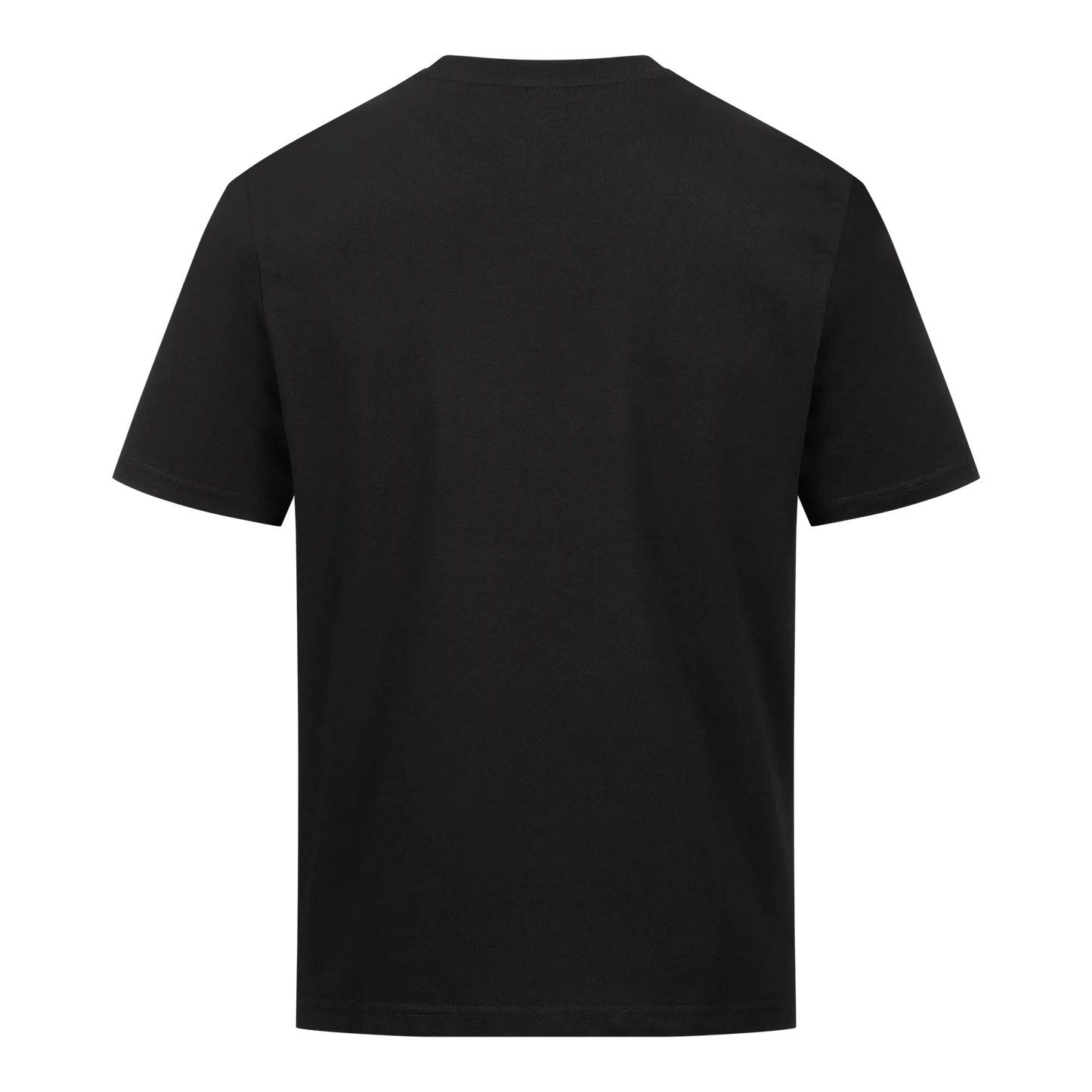 Basic T Shirt aus Bio Baumwolle